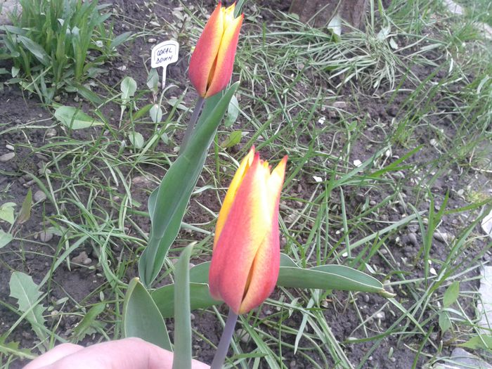 20140413_174655