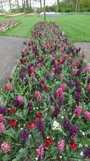 2014_04121166 - Keukenhof 2014 - 3