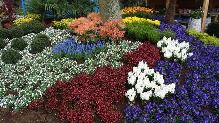 2014_04121172 - Keukenhof 2014 - 3