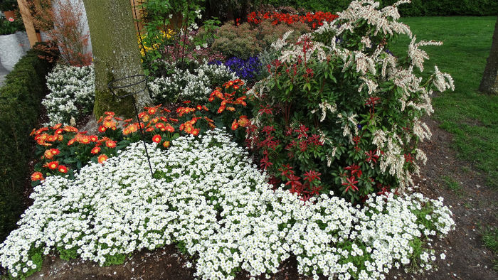 2014_04121174 - Keukenhof 2014 - 3