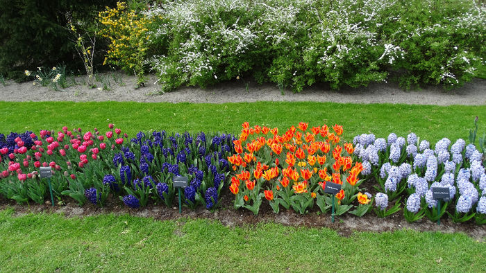 2014_04121227 - Keukenhof 2014 - 3