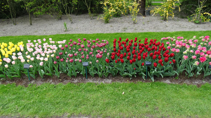 2014_04121228 - Keukenhof 2014 - 3