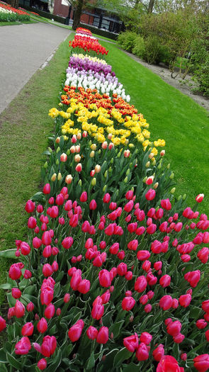 2014_04121233 - Keukenhof 2014 - 3