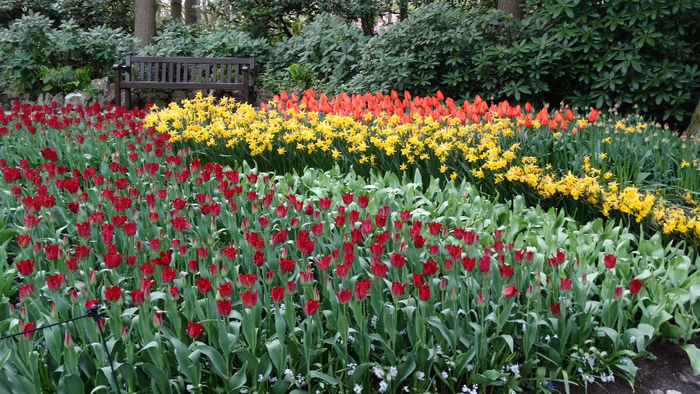 2014_04121265 - Keukenhof 2014 - 3