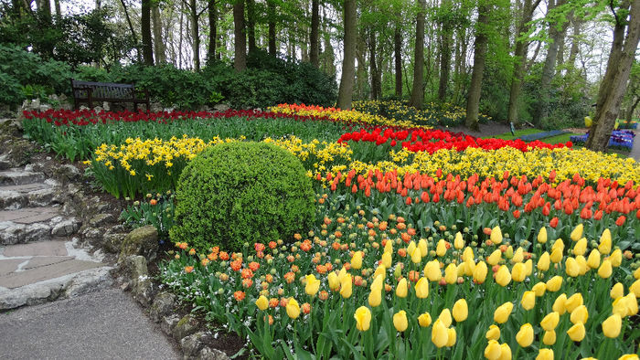 2014_04121268 - Keukenhof 2014 - 3