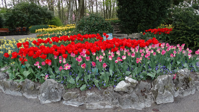 2014_04121272 - Keukenhof 2014 - 3