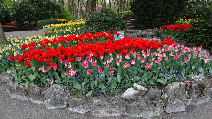 2014_04121273 - Keukenhof 2014 - 3