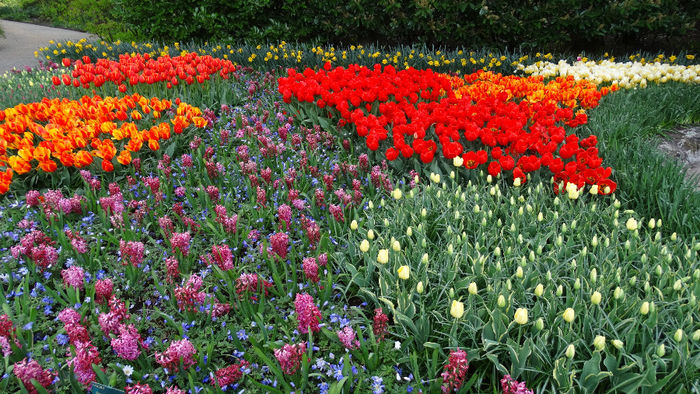 2014_04121275 - Keukenhof 2014 - 3