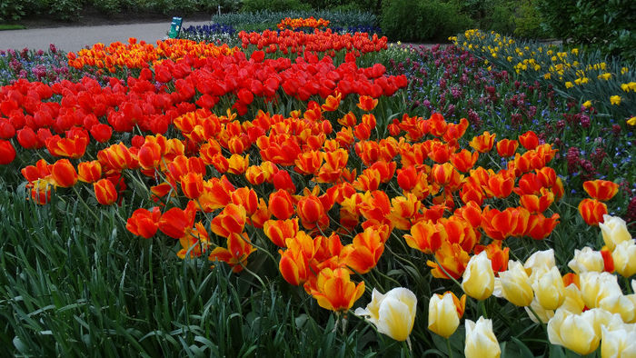 2014_04121278 - Keukenhof 2014 - 3