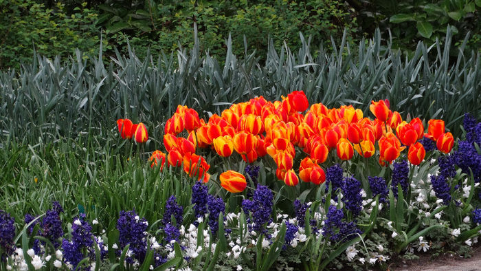 2014_04121280 - Keukenhof 2014 - 3