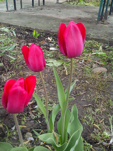 IMG_20140413_130852