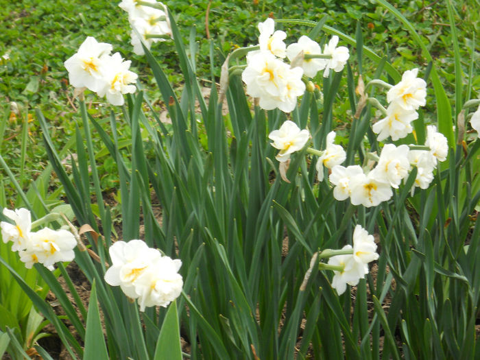 DSCN1160_016