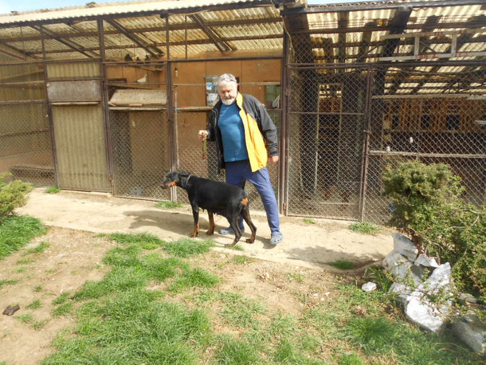 DSCN1271 - dobermani si Iluzia fica mea