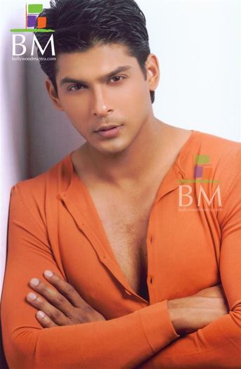 siddharth-shukla___186412 - Siddharth Shukla