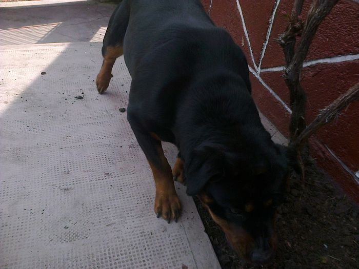 HERRA; nervoasaa

