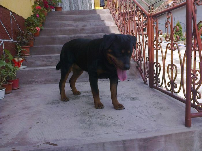 HERRA