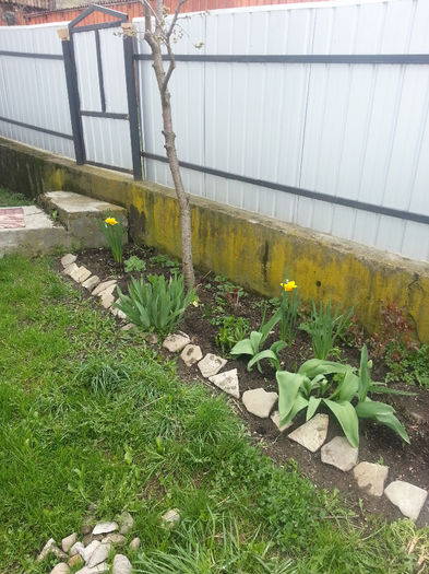 20140413_121143