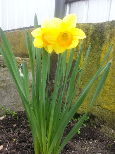 20140413_121221
