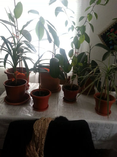 20140413_121302