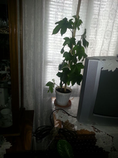 20140413_121322