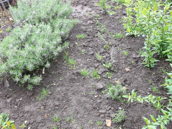 073 - Primavara 2014