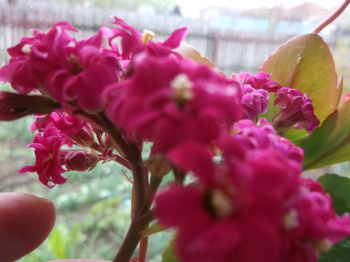 130 - Copy - Primavara 2014