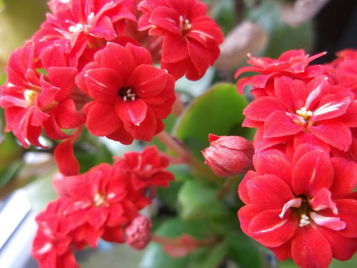 135 - Copy - Primavara 2014