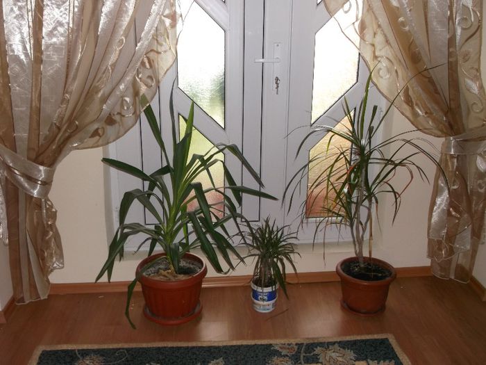 140 - Primavara 2014