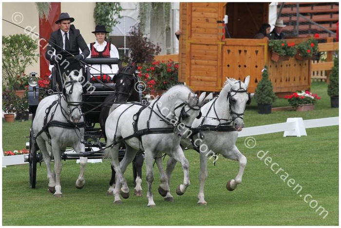 dressage - European Championship 2013