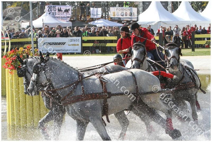 maraton - European Championship 2013