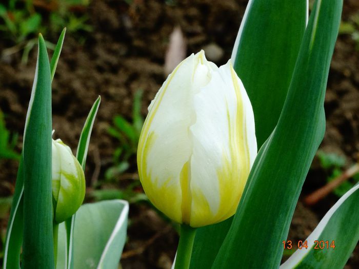 DSC01952