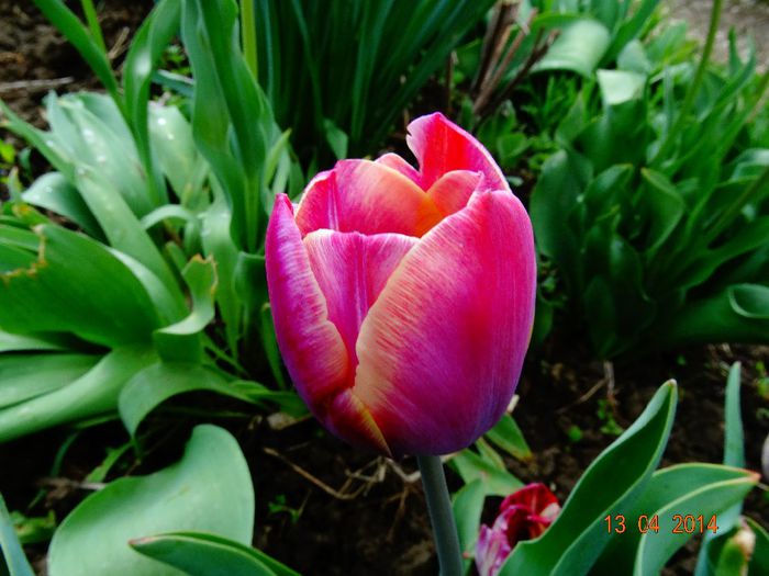 DSC01948
