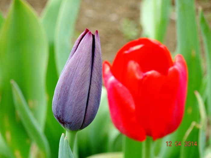 DSC01916