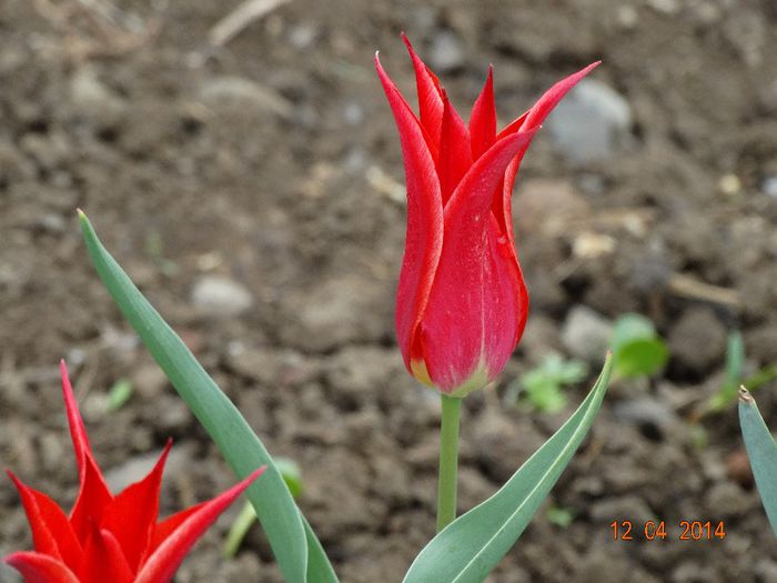DSC01822