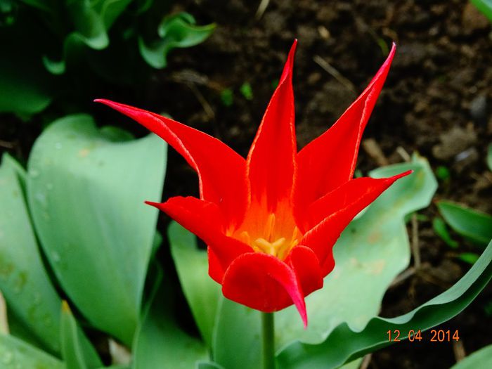 DSC01920