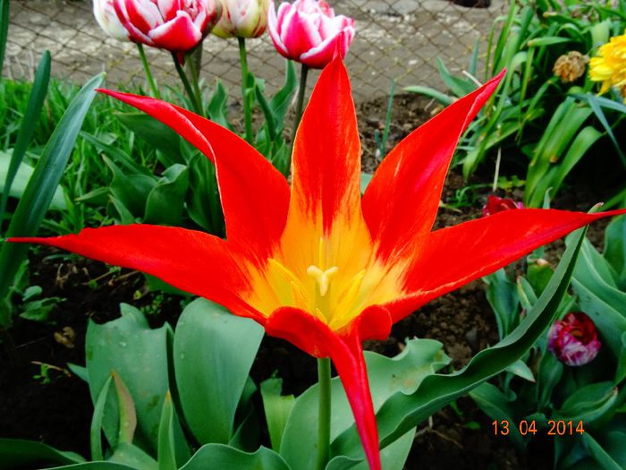 DSC01944