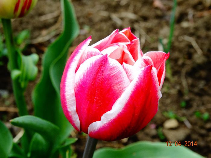 DSC01921