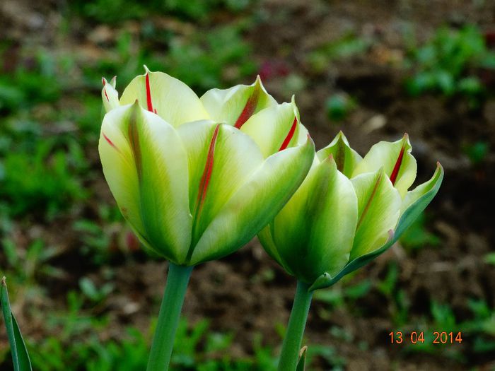 DSC01955