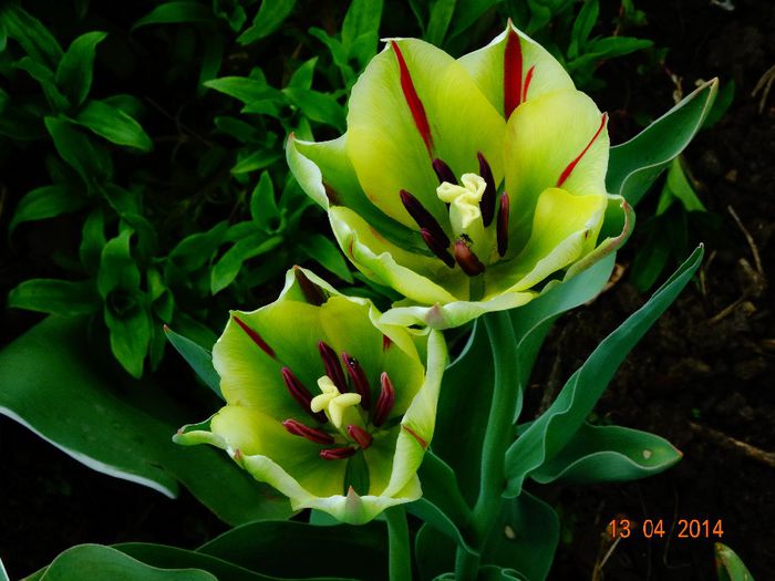 DSC01957