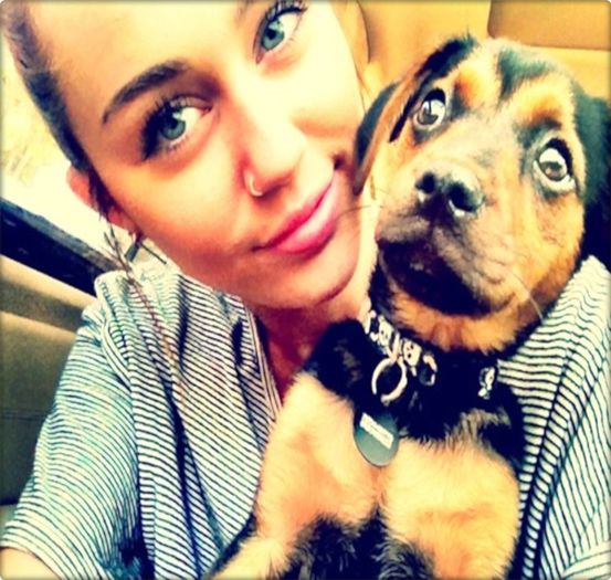 day 388 . - imperfections equal beauty