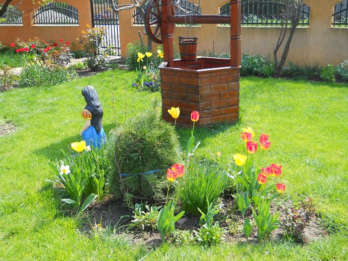 Copy (2) of Picture 026