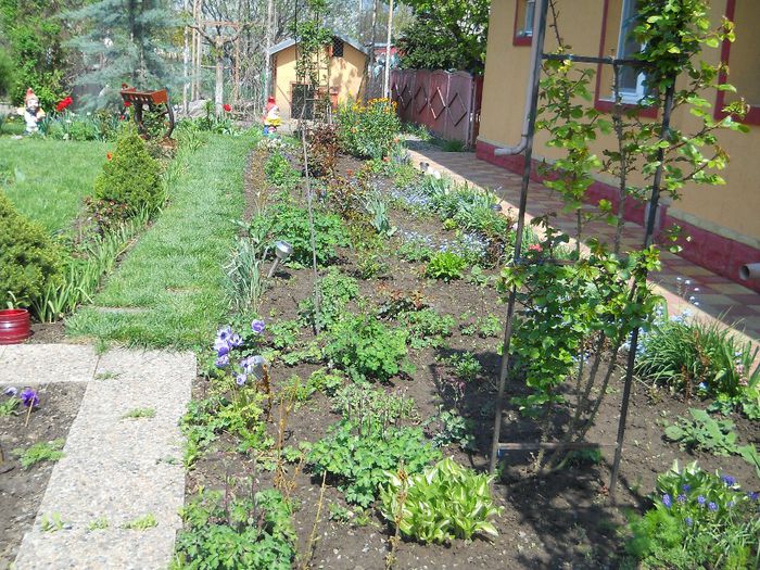 Copy of Copy of Picture 036 - GRADINA 2014