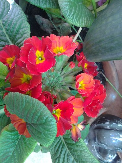 20140414_161405