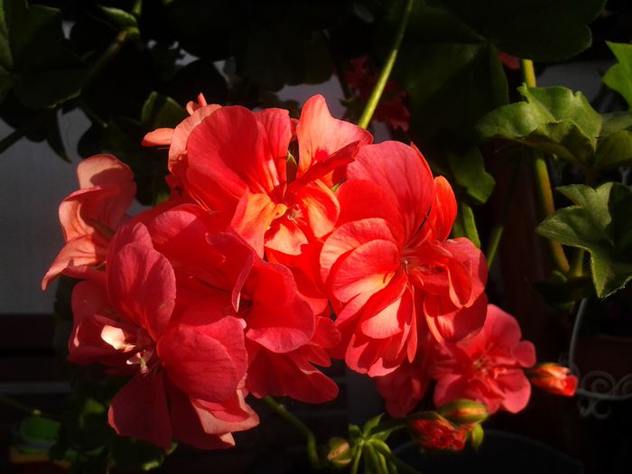 20140414_161356