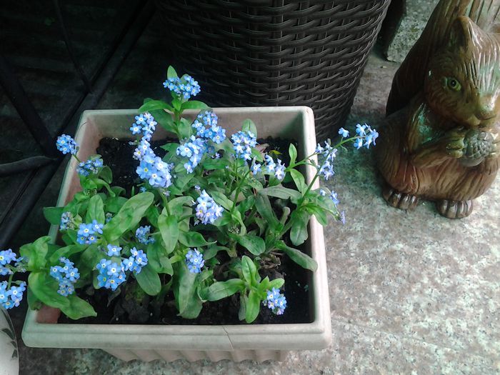 20140415_153805