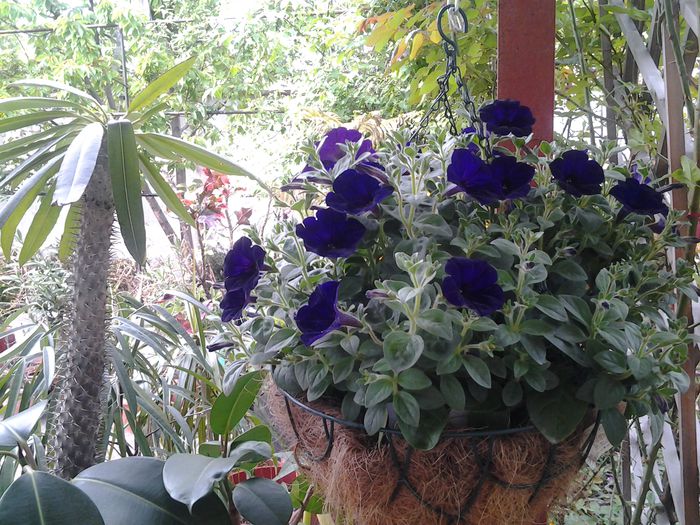 20140415_153845