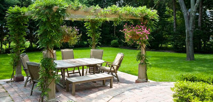 pergola-patio-wisteria - WISTERIA MEA