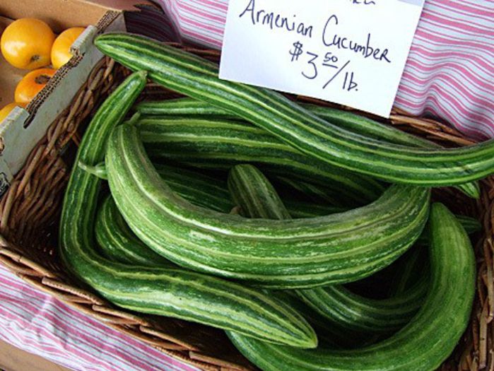 castravete armenian - alte vegetale de consum putin cunoscute