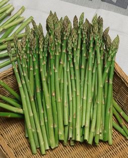 Asparagus officinalis - alte vegetale de consum putin cunoscute