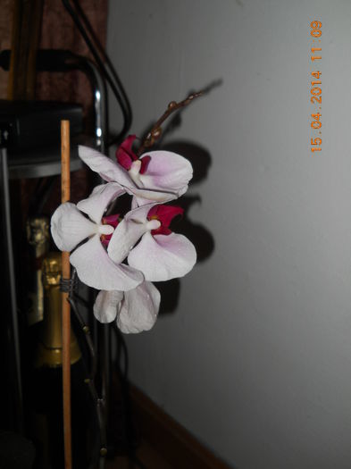 024 - ORHIDEE 2014
